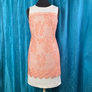 NWT - Lace overlay sheath dress (S)
